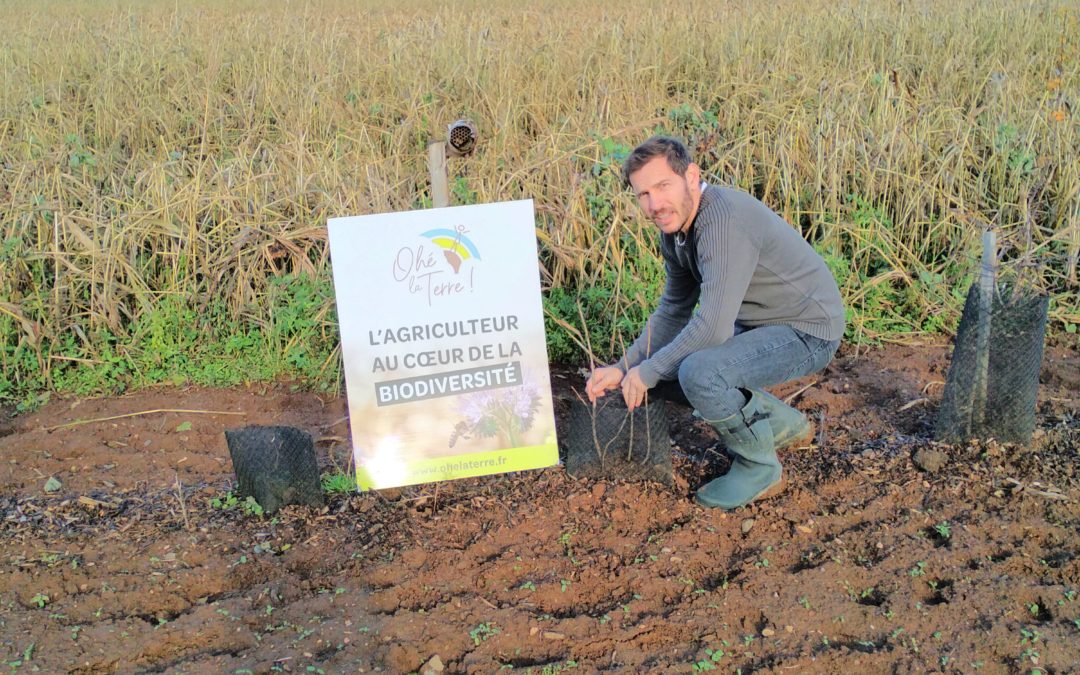 Témoignage de Maxime Laubreton, Conseiller Agroforesterie
